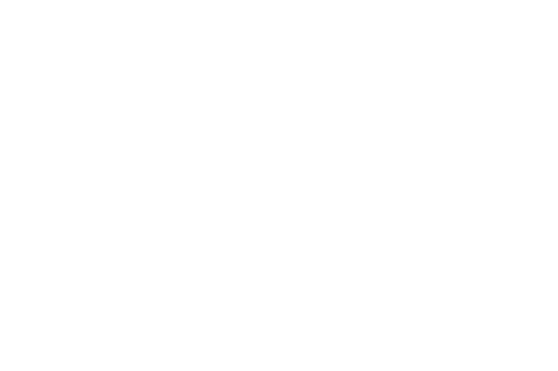 Bridgestone-Logo