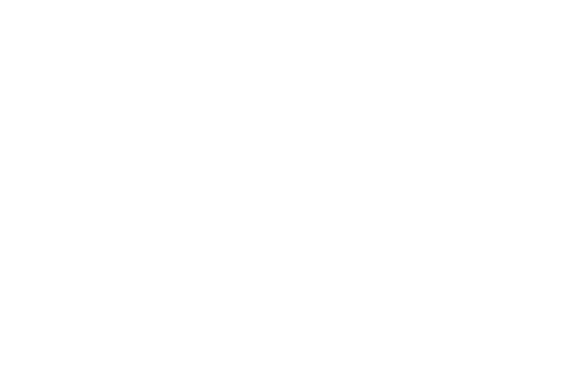Dunlop Tyres Logo
