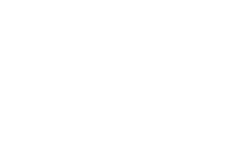 michelin-logo